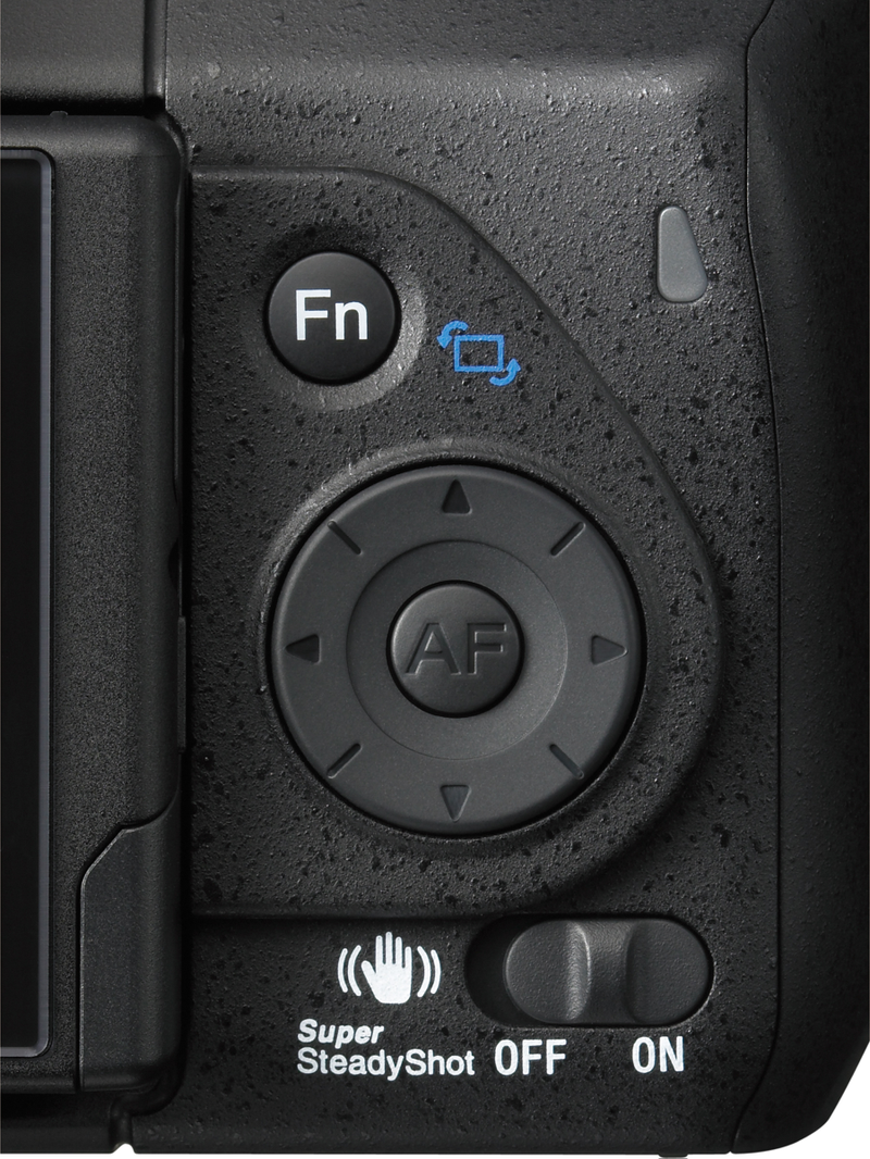 Illustration for article titled Sony A300 and A350 DSLRs Have Two-Way Tilting Live View